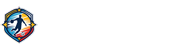 意甲直播